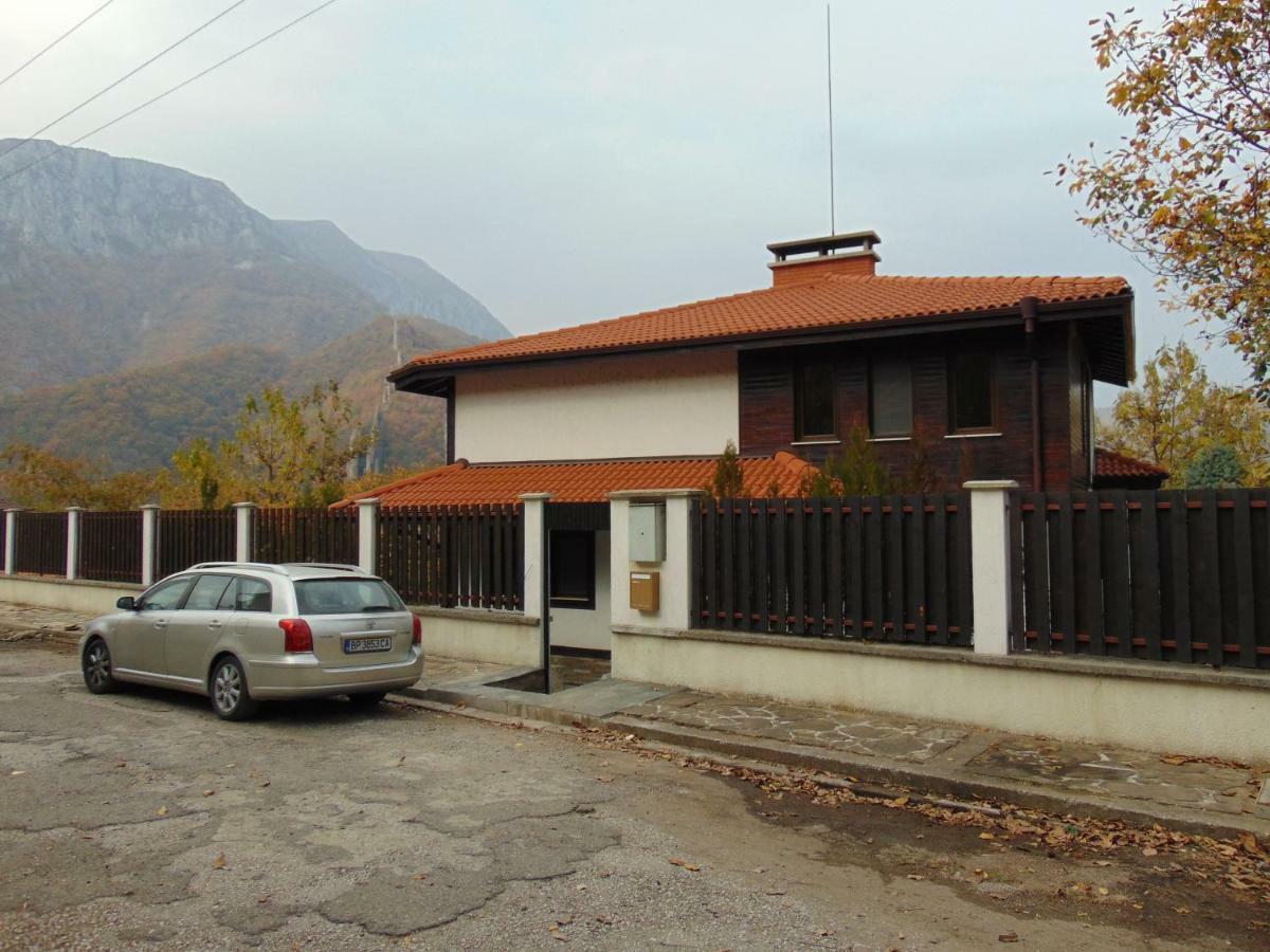 Къща За Гости "Мечта" Lyutibrod Exterior foto